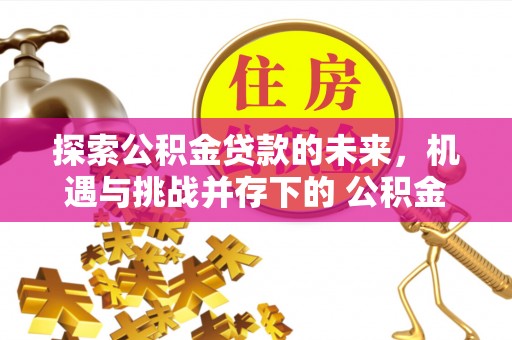 右玉探索公积金贷款的未来，机遇与挑战并存下的 公积金贷款风险防控