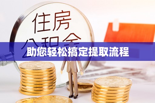 右玉助您轻松搞定提取流程