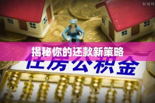右玉揭秘你的还款新策略