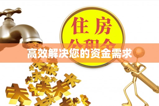 右玉高效解决您的资金需求