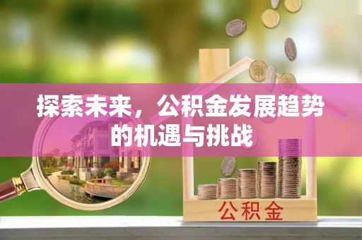 右玉探索未来，公积金发展趋势的机遇与挑战